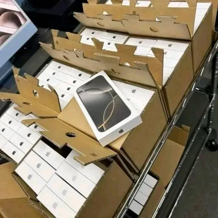 WhatsApp Image 2025 03 13 at 4.46.25 PM 2